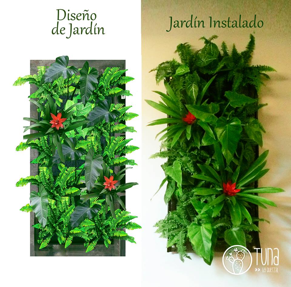 Jardines verticales Tuna peru